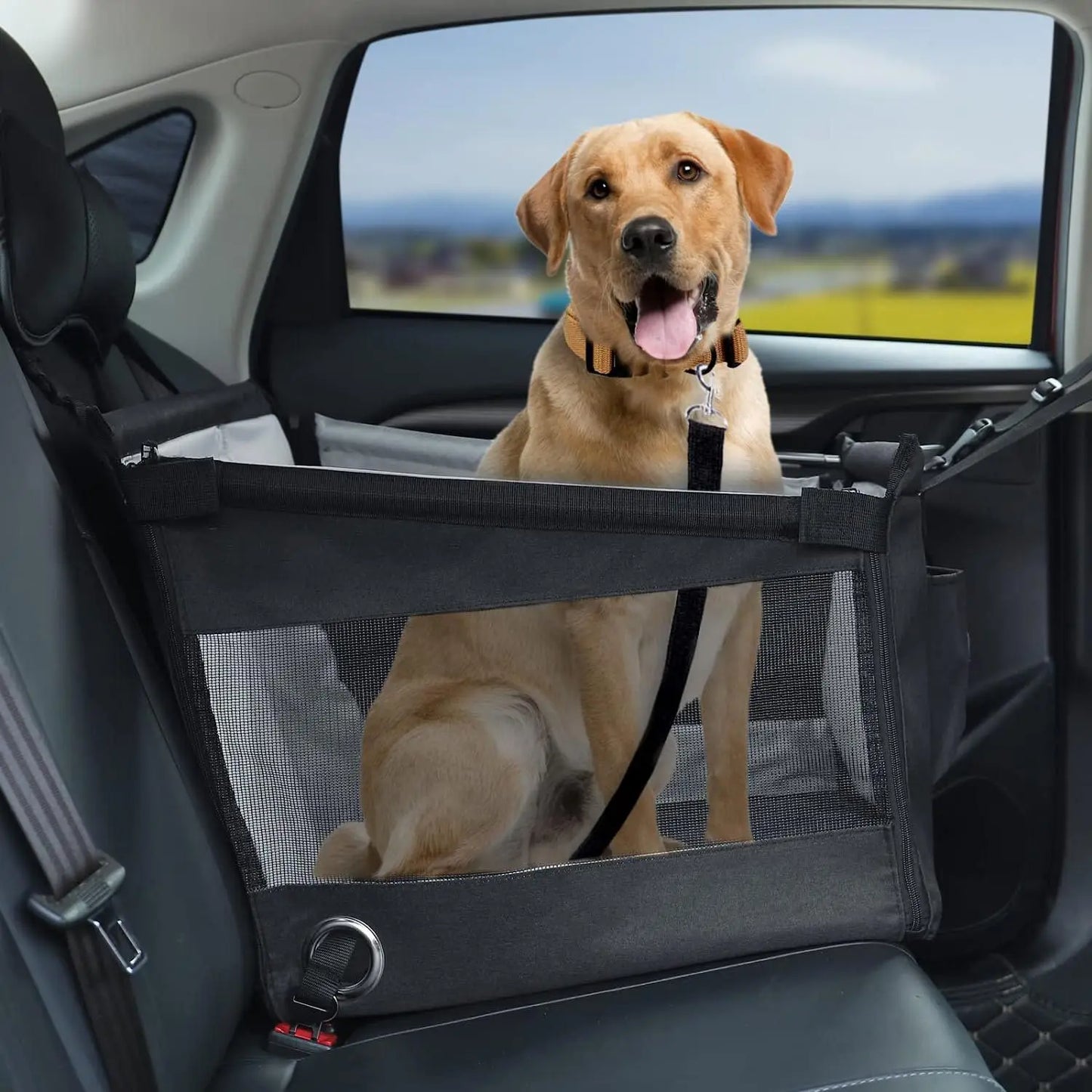 PawPorter™ - Portable Travel crate
